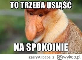 szaryAlibaba - @Talarsson