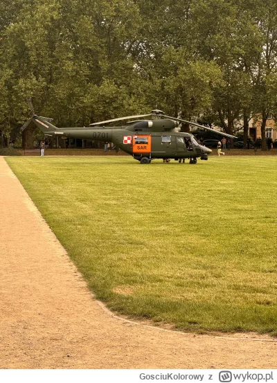 GosciuKolorowy - @mapache