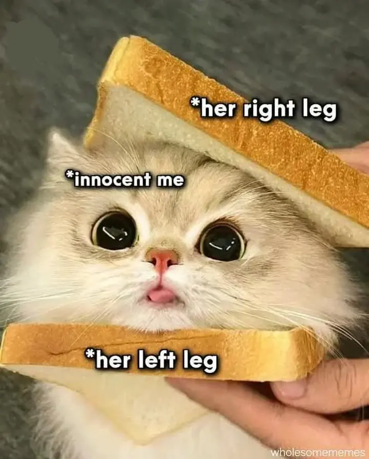 wfyokyga - Dzień dobry