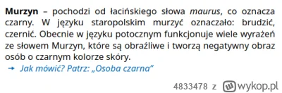 4833478 - @MrAndy: Za to mówienie, że ktoś jest czarny, jest git :)