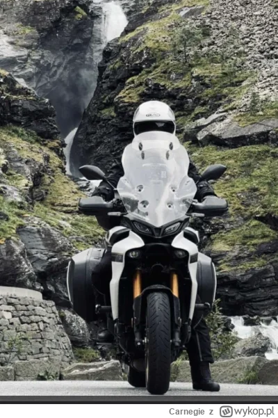 Carnegie - No właśnie miałem pytać. ❤️