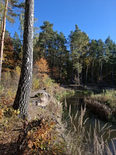 Gontyn- - #przegryw #spierdotrip