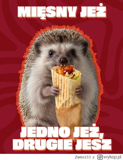 Zwierz33 - Mięsny jeż ty go zjesz! Ty go zjesz 💪

#przegryw