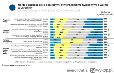 neurotiCat - Tezy z tego badania