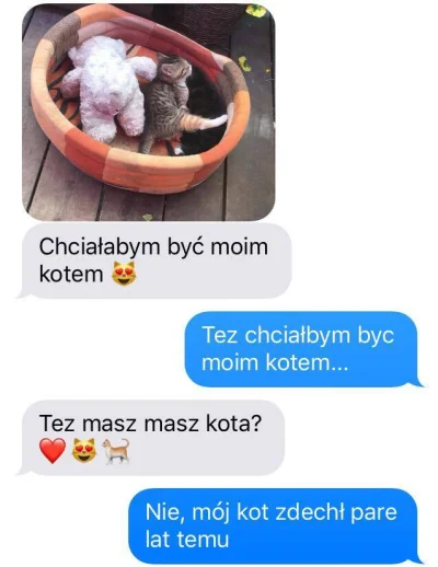 kutokalipsa67 - Miau?
#demotywacja #regresosobisty