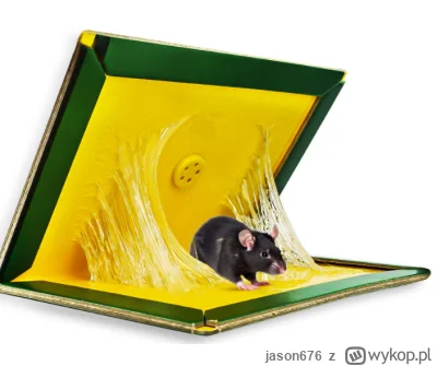 jason676 - @BlackBlack: niech wstaje, bo zachowuje się jakby tu wpadł