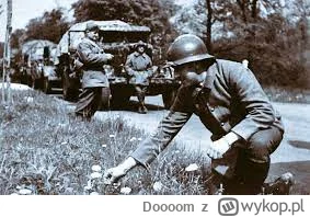 Doooom - Jestem za tym aby Polska wystawiła tyle samo żołnierzy, co Francja.
Nie mnie...