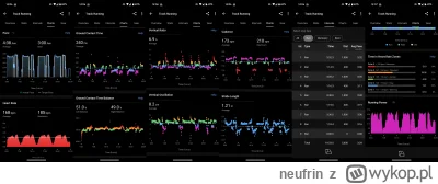 neufrin - @neufrin staty