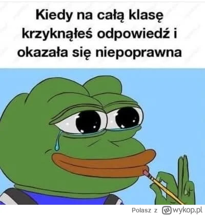 Polasz - Dzień dobry :)