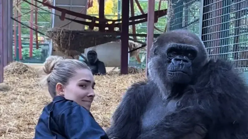 asap_ - @czapayew: normalna sprawa, byłem w zoo w Berlinie. Awantura jak ja p------e,...