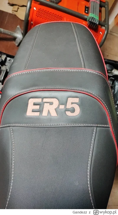 Gandezz - Jakieś pomysły jak odnowić napis na czerwono? Są jakieś barwniki które nie ...