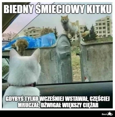 InstytutDanychZDvpy - Pewnie wcześnie rano wstawał