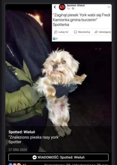 DelicjeSzampanskie - @Zgredzimierz fredi się znalazł przed Jaworkiem.