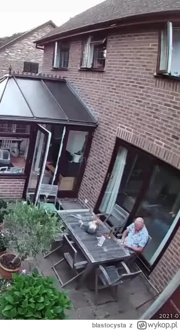 blastocysta - #trzecieoko #heheszki