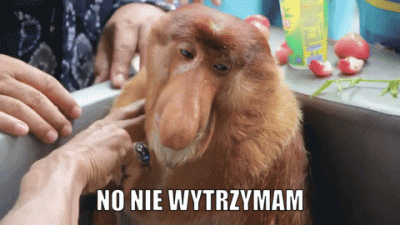 panDario - @Diamond-kun: