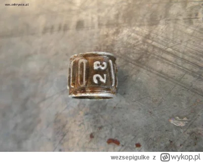 wezsepigulke - @Mooher RIP [`]