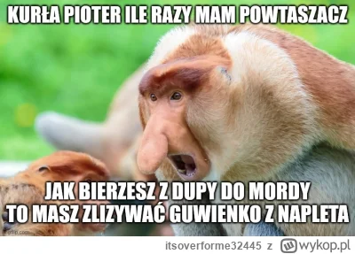 itsoverforme32445 - #memy #humorobrazkowy #gownowpis #heheszki #mem #nosaczsundajski ...