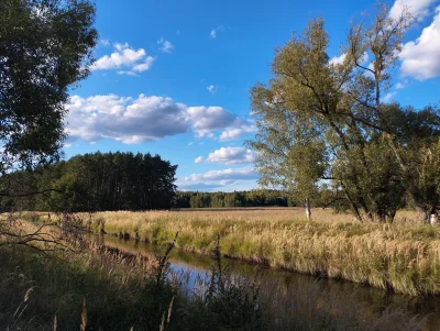 MLeko29 - #spierdotrip