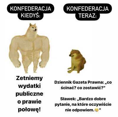 zpue - #konfederacja #bekazprawakow #polityka