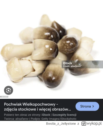 BestiazJellystone - @Frostywhit3: ale to akurat bardziej przypomina małe azjatyckie b...