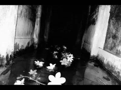 Miteora - #przegryw #muzyka #electronic #ambient #experimental