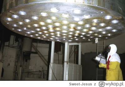 Sweet-Jesus - Widok pokrywy reaktora od dołu.