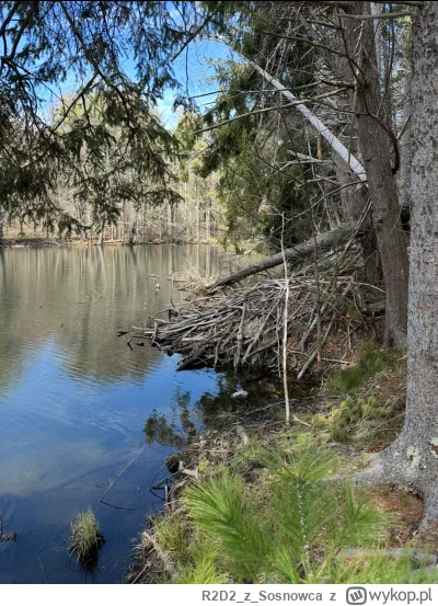 R2D2zSosnowca - @R2D2zSosnowca z domu wyjść nie chciał