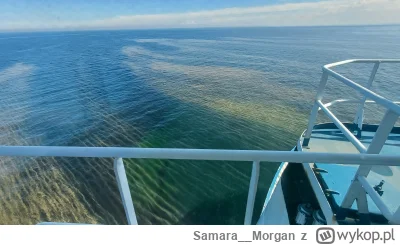 Samara_Morgan - @DonArtur: wiatr się zmienił Cały baltyk kwitnie