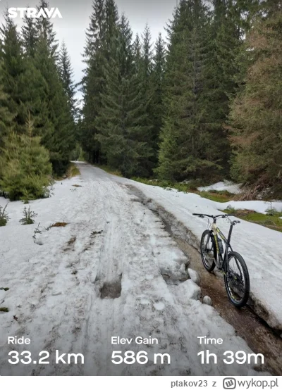 ptakov23 - Z rana 6km biegu w tempie 5:30, po obiadku przepalenie czwórek na retroMTB...