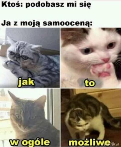 sylwke3100 - Niemożliwe 

#przegryw