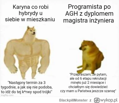 BlackpillMonster - #pracait #programowanie #programista15k #programista25k #java #kor...