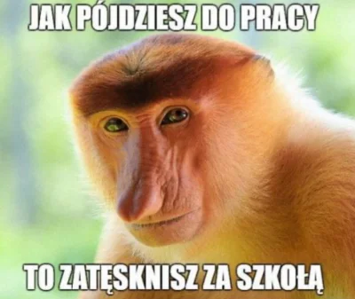 paczelok - #konkursnanajbardziejgownianymemznosaczem