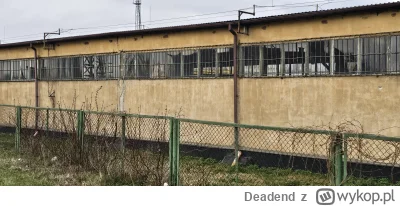 Deadend - Pora na reaktywację #kolchozart i trochę pokrzepiającego widoku z rana #kol...