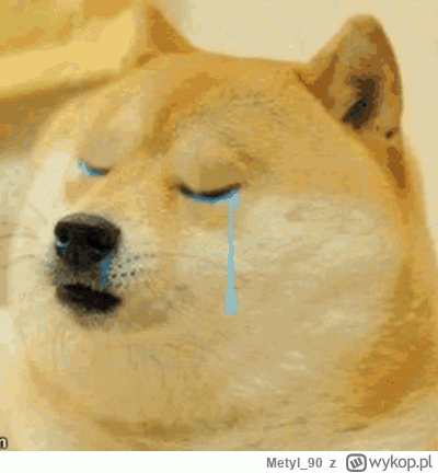 Metyl_90 - @Suheil-al-Hassan: