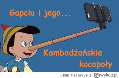 Chilli_Heatwave - @Koner1391: