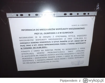 Pipipendem - Sytuacja się rozwiązała 😂😂😂