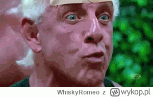 WhiskyRomeo - @ChlopakZpiwnicy: