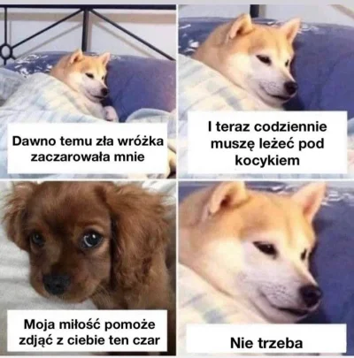 Zaczytanaa - Tak będzie taniej xD #memy #humorobrazkowy #heheszki