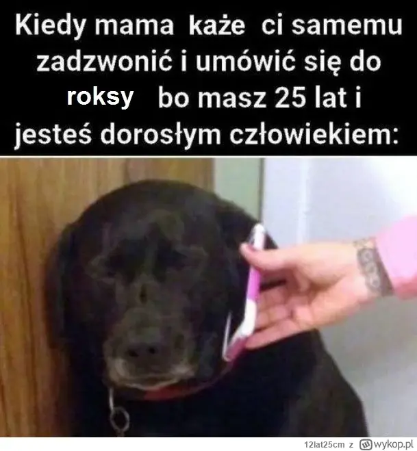 n0spRezydenta - #przegryw