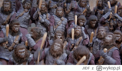 JIDF - #blm  #heheszki 

Black Lives matter!