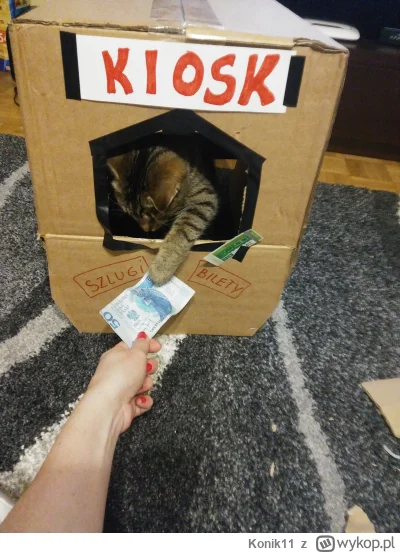 Konik11 - @Arvin: Ehh inne kotki potrafią zarobić na saszete, a moje tylko narzekają ...