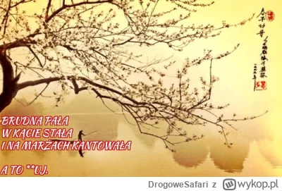 DrogoweSafari - #haiku #bekazpisu #orlen