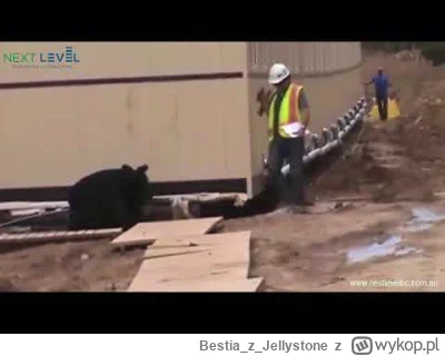 BestiazJellystone - @wfyokyga: