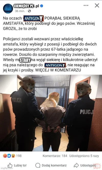 xxx-tyrantion - #konkursnanajbardziejgownianymemznosaczem