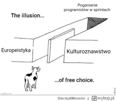 BlackpillMonster - #programista15k #programowanie #pracait #korposwiat