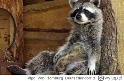 VigoVonHomburg_Deutschendorf - Trzeba odpocząć w jakiś sposób po poniedziałkowym z---...