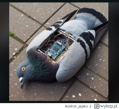 Andrut_japko - Nie dajcie się zwieść