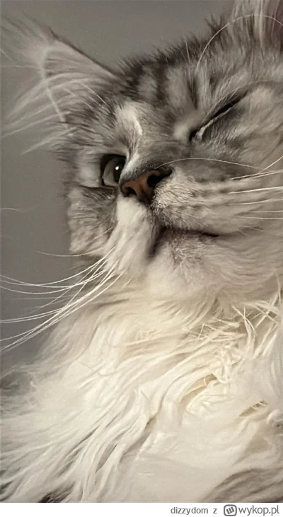 dizzydom - @simpiara puszczam oczko