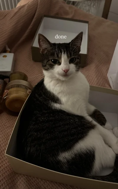 b0dyload - @b0dyload: