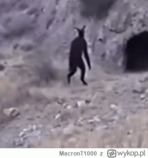 MacronT1000 - #krainagrzybow
Teufel zmierza do